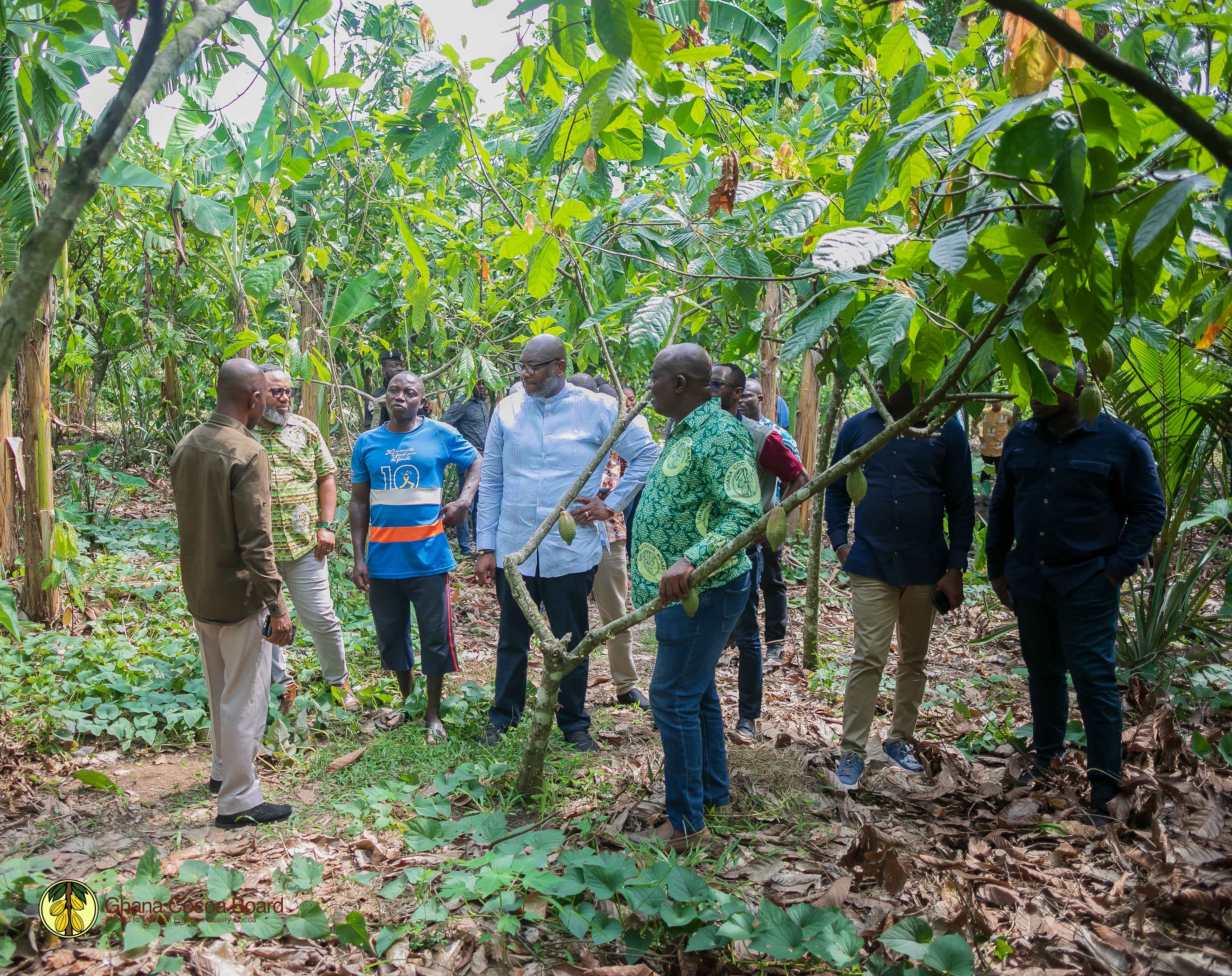 CHIEF EXECUTIVE TOUR OF VOLTA REGION