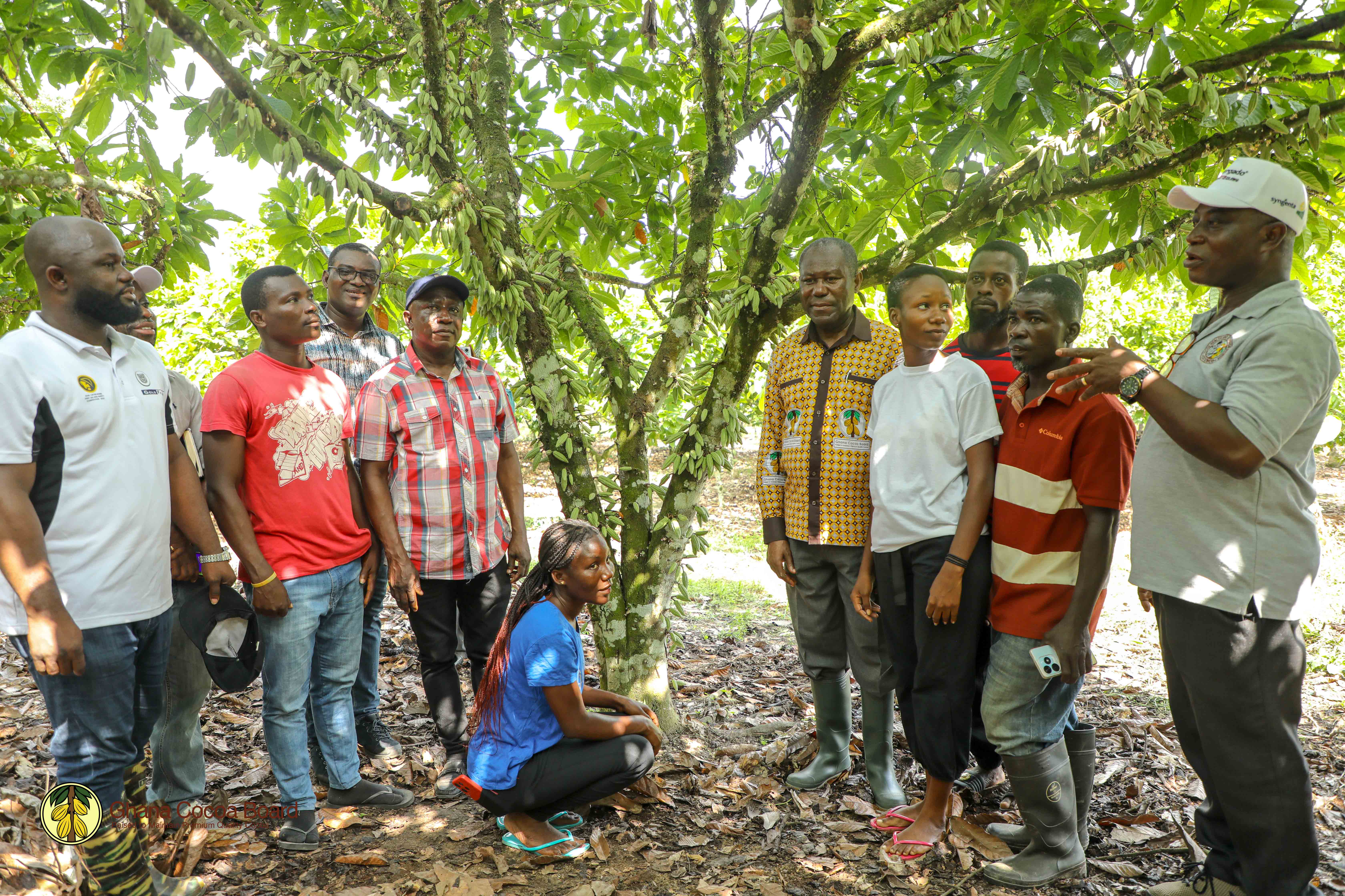 CHIEF EXECUTIVE'S FIELD TOUR OF CENTRAL AND WESTERN SOUTH COCOA REGIONS