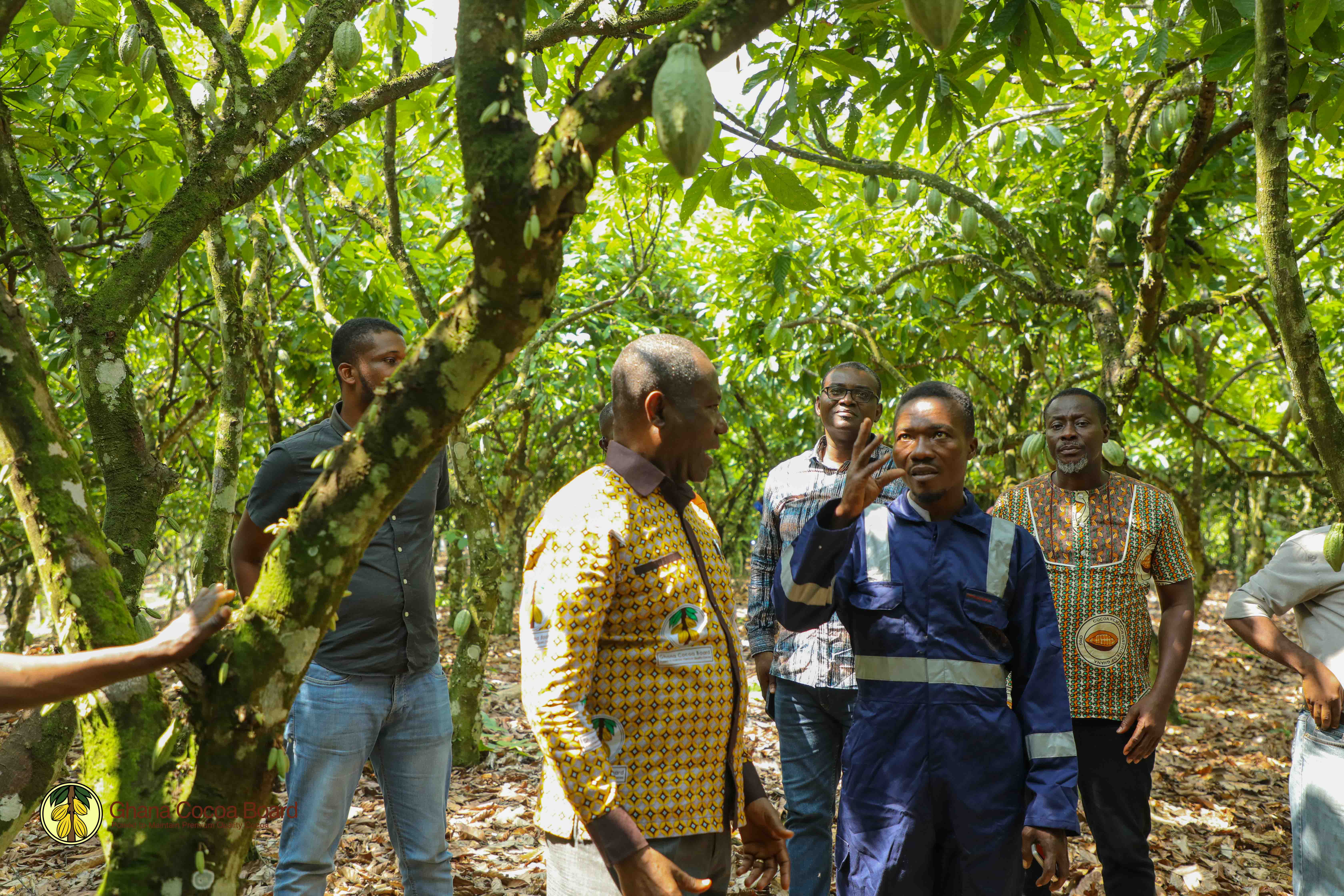 CHIEF EXECUTIVE'S FIELD TOUR OF CENTRAL AND WESTERN SOUTH COCOA REGIONS