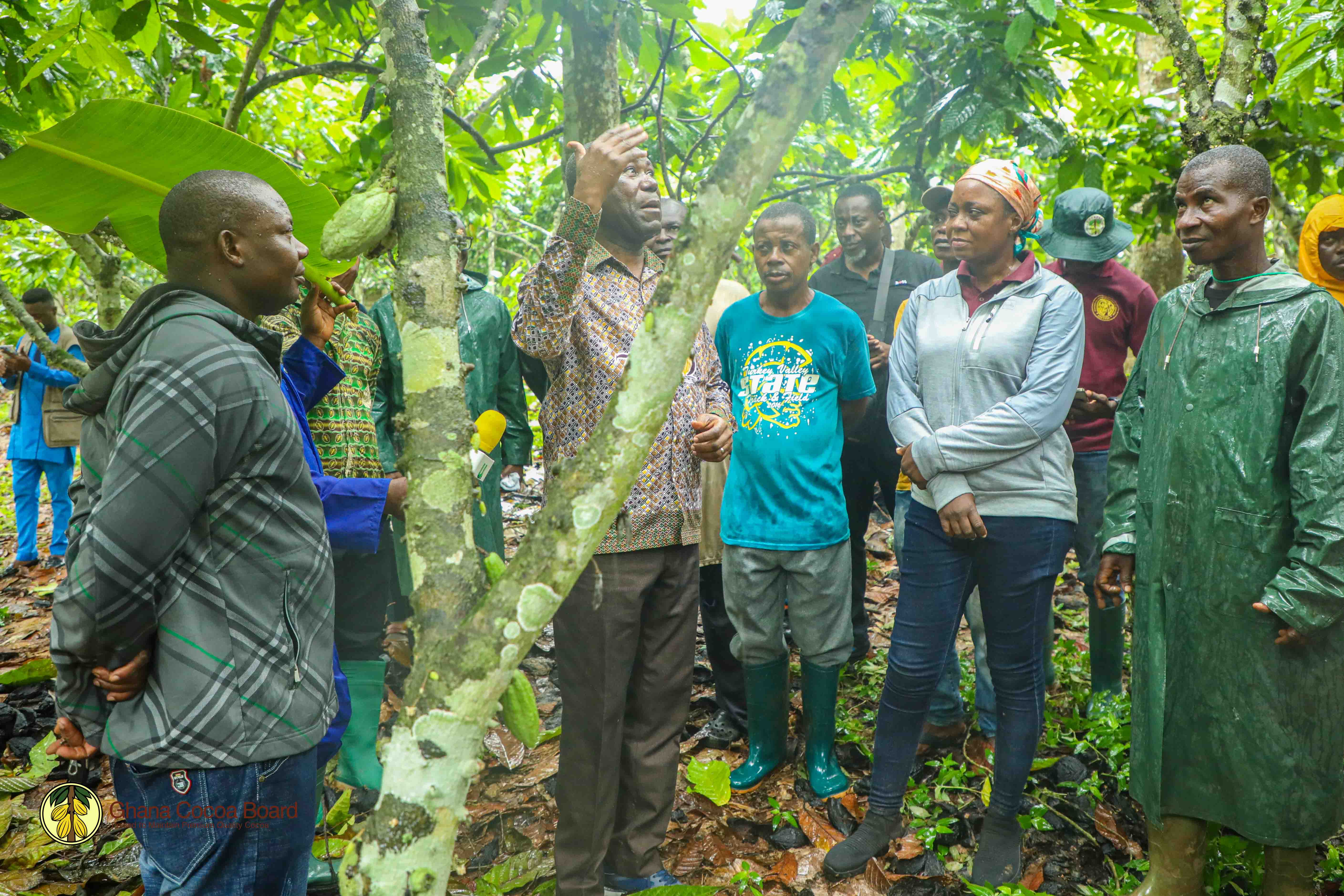 CHIEF EXECUTIVE'S FIELD TOUR OF CENTRAL AND WESTERN SOUTH COCOA REGIONS