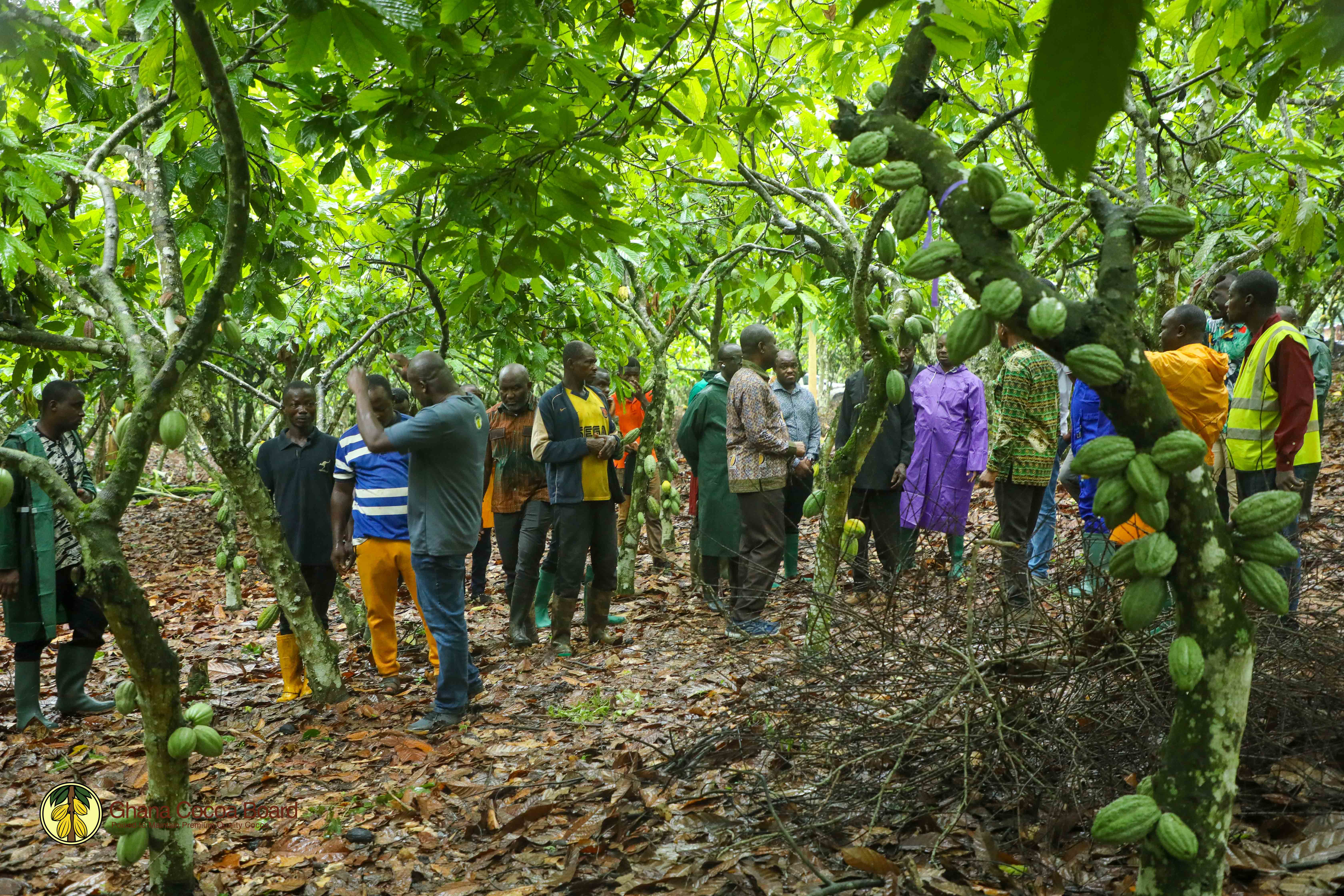 CHIEF EXECUTIVE'S FIELD TOUR OF CENTRAL AND WESTERN SOUTH COCOA REGIONS