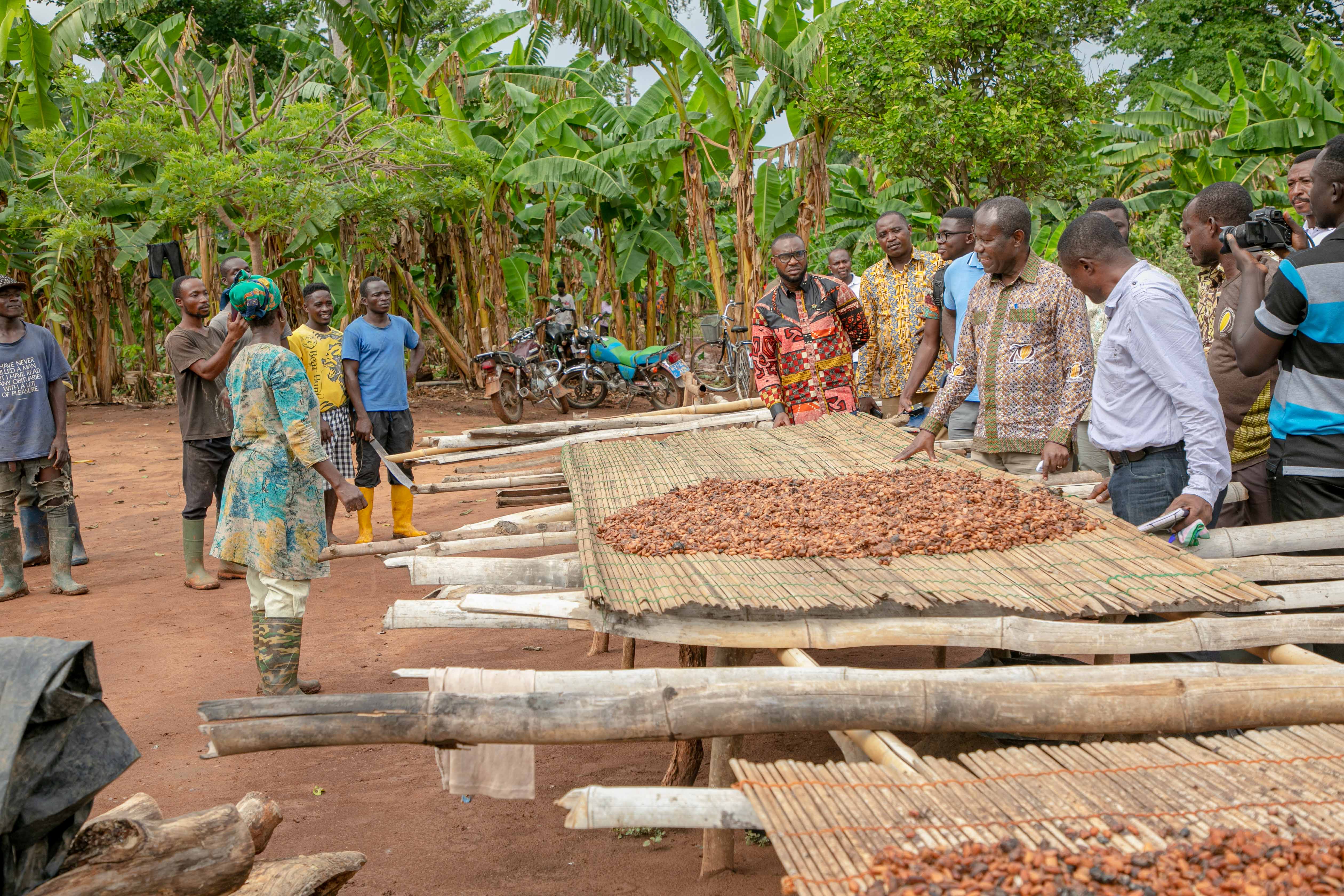 INSPECTION TOUR OF REHABILITATED COCOA FARMS IN THE WESTERN AND WESTERN NORTH REGIONS
